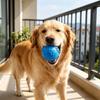 Yousheng Squeaky Dog Ball Raised Texture Dog Chew Toy Dogs Teeth Cleaning Toy Relieves Boredom And Anxiety for Puppy Teething Fetch Game
