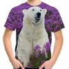 Full Print Animal Polar Bear Graphic T-Shirt For Men Summer Short Sleeve Oversized T Shirt Kids Tees Tops Clothes