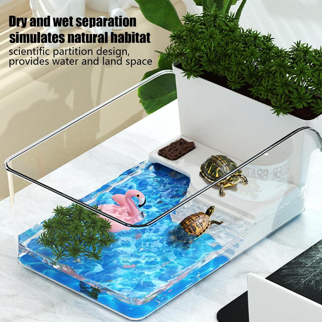 Aquatic Turtle Tank Resting Box for Turtle Transparent Small Tortoise Breeding Box for Reptile Crab School Science Class Nature