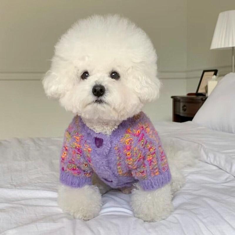 Winter Dog Clothes Fashion Solid Dog Cardigan Sweater Warm Soft Puppy Kitten Coat Cute Cat Knitted Sweater Yorkie Pet Costumes
