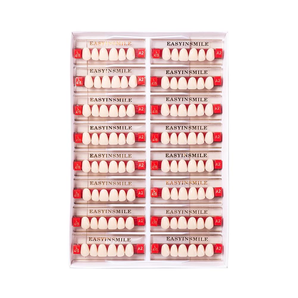 16/12 Sätze/Karton Zahnprothese Zähne Oberkiefer Frontzähne Unterkiefer Seitenzähne Dentier Synthetisches Polymerzähne Zahnmedizinische Ausbildungsmodell