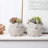 Adorable Resin Owl Shaped Succulent Planter for Home Office Decoration Mini Ornament Fairy Garden Owls Statues