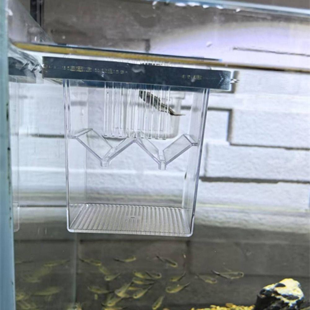 Square Aquarium Fish Breeding Box Clear Fish Tank Hatching Incubator  Aquarium