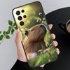 Huse pentru telefoane – Huse tip bumper pentru telefon