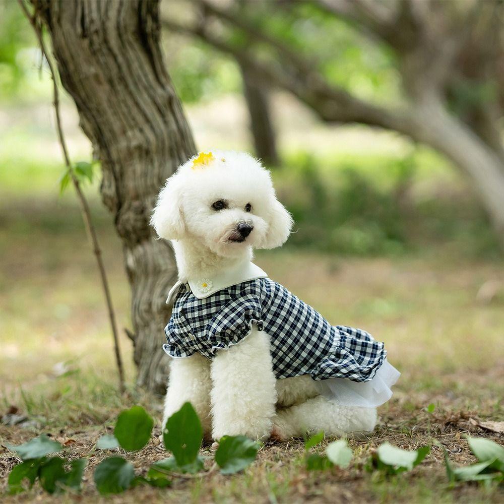 Skin-friendly Pet Clothes Cotton Puppy Skirt Bichon Frise Spring Pet Dress  For Small Medium Dogs