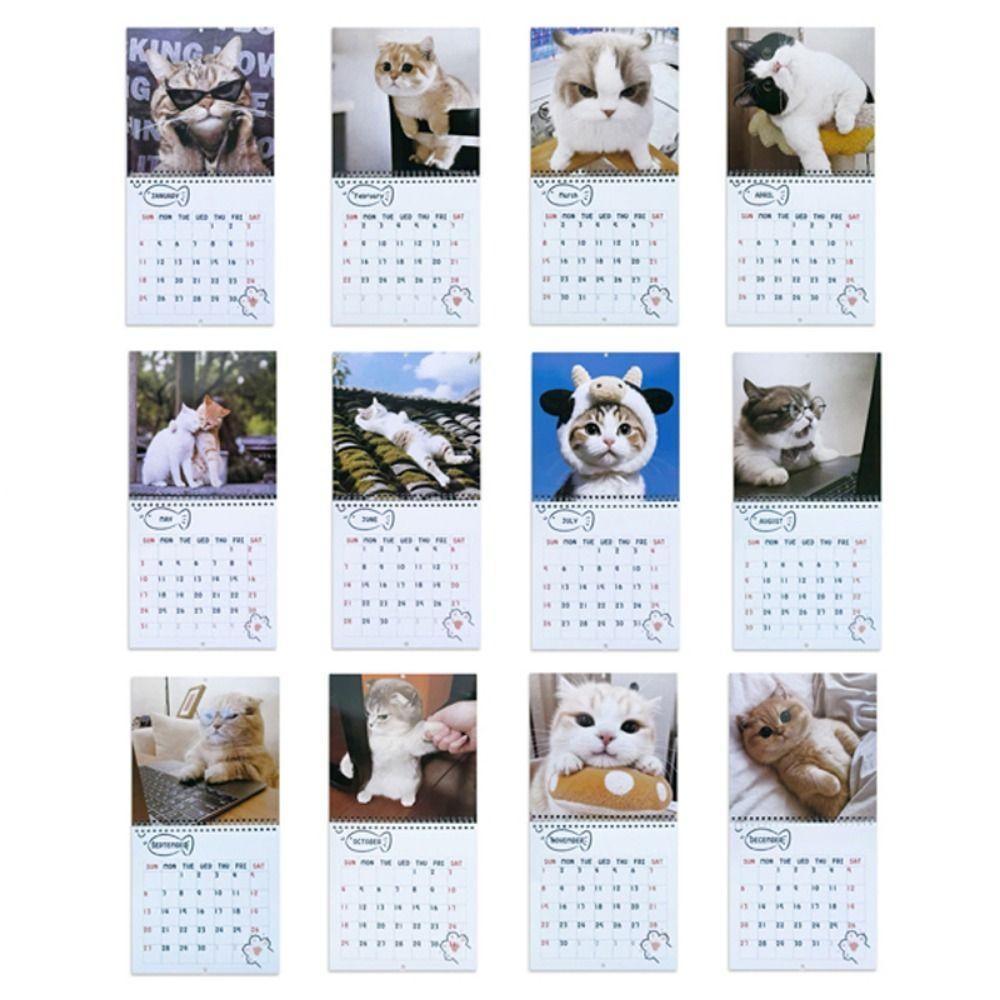 Memo Planner 2026 Cat Calendar One Month To View 2026 Wall Calendar Cute Monthly & Daily Planner