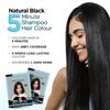 Bblunt Natural Black 5 Minute Shampoo Hair Color, 20 Ml X 5 Sachets Pack of 2, Quick Gray Coverage And Shine At Home