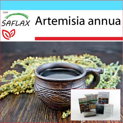 Gift Set - Sweet Wormwood Qing Hao - 250 Seeds - With Gift Box, Card, Label and Potting Substrate - Artemisia Annua