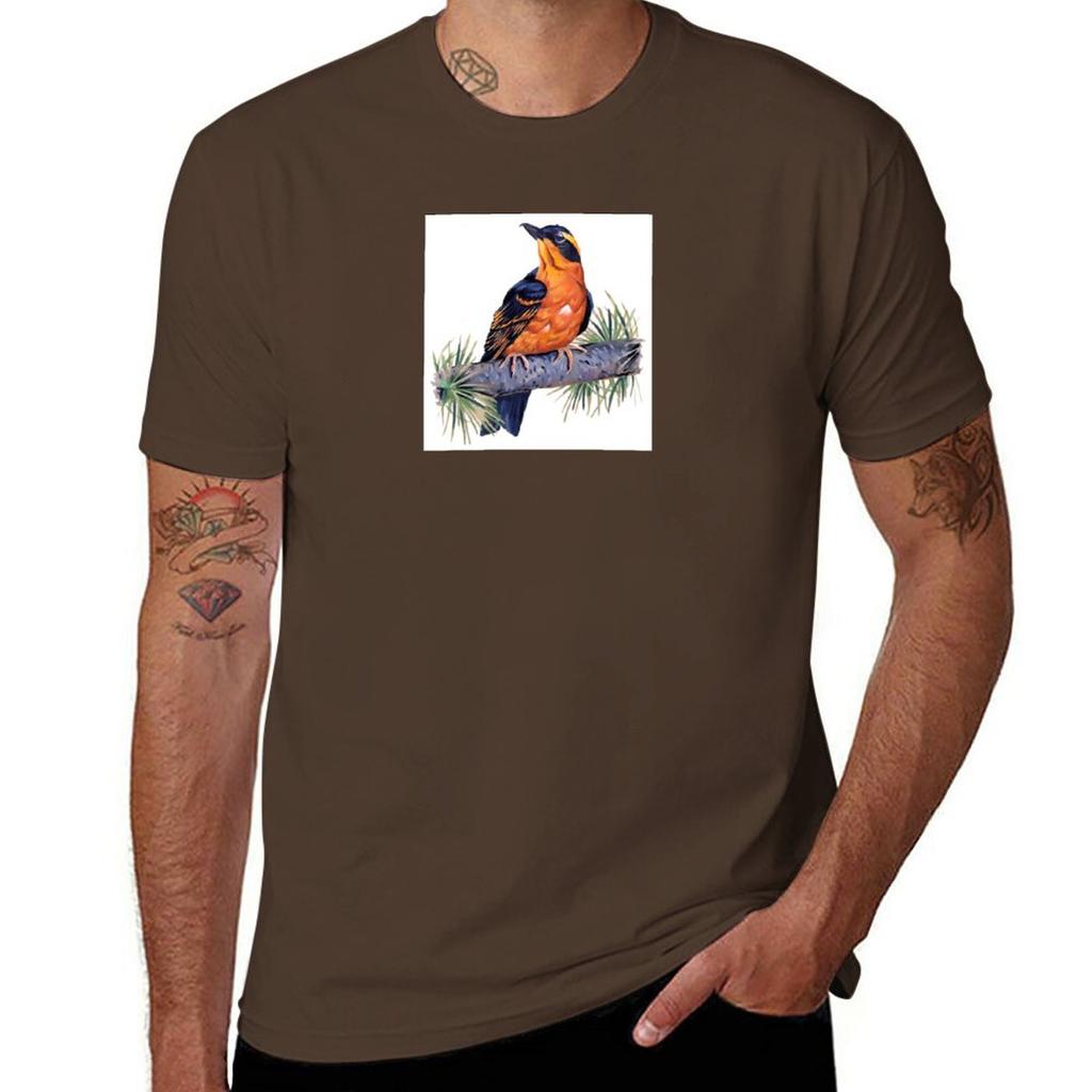 Birds In Hell TShirt Short sleeve tee aesthetic clothes mens graphic tshirts anime