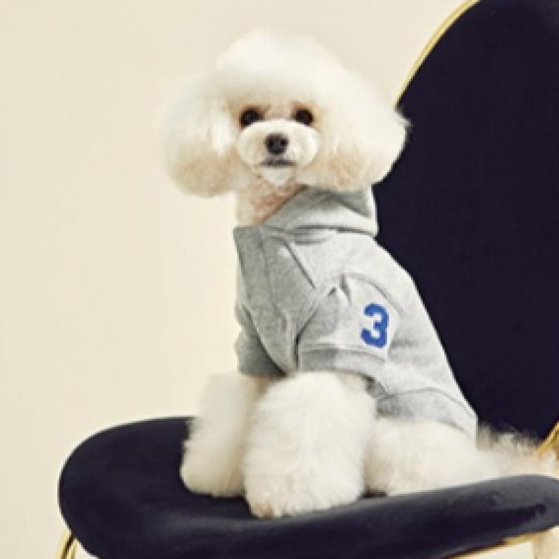 Ralph Lauren Cotton Mesh Dog Polo Shirt  Hmpopap56320002020 