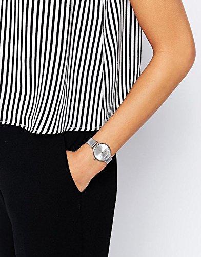 SKAGEN Anita Steel Mesh SKW2149, Silver Mesh Analog Women's Stainless Steel Quartz Watch [Parallel Import]