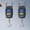 Compact High-Precision Handheld Fish Scale with Hook