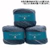 SKIYARN Garnfarbe Herbst/Winter "Piaccio 706"