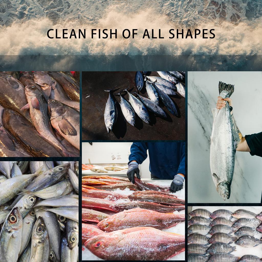 Powerful Electric Fish Scaler Cordless Fish Scaler Remover without Fuss Or Mess for Chef and Home Cooks Fish Cleaning tools