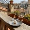 Minimalist Seashell-Shaped Incense Holder Stainless Steel Metal Pearl Incense Rack  Home Decor