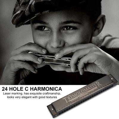 Armonica a bocca a 24 fori 12 toni in Do strumento musicale regalo di Natale giocattolo