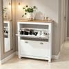 Elegant Shoe Cabinet, Versatile Shoe Cabinet, Modern Shoe Tilt Cabinet with Storage Space and Shelf