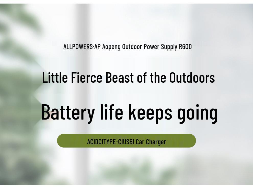 ALLPOWERS R600 600W Car UPS & Power Bank