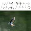 High Quality Stainless Steel Fly Rod Guide Set Fishing Rod Guides Tips Parts Durable DIY Eye Rings Fishing Accessories