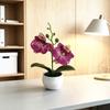 Butterfly Orchid Artificial Plant With Textured Plastic For Photography And Home Decor