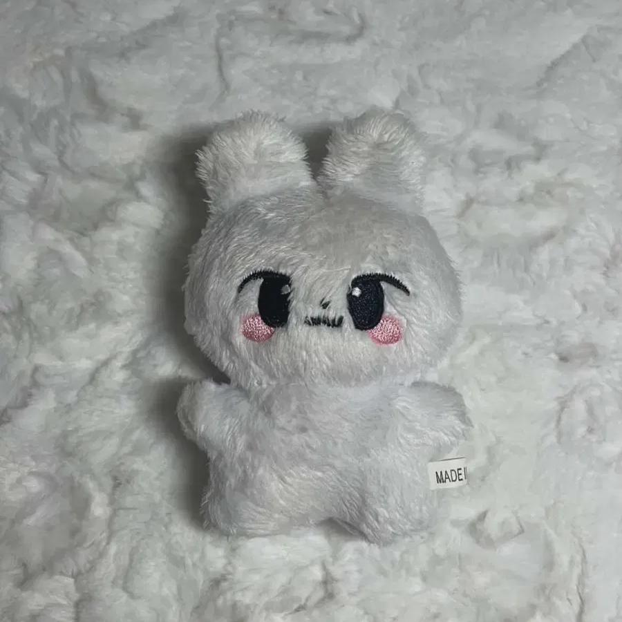 

Urgent Source)) Straykids Pori