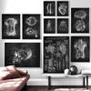 Human Anatomy Artwork Medical Wall Picture Skeleton Organ Muscular System Vintage Poster Canvas Print Physical Education Painting
