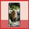 Animal Funny Capybara Case For Samsung Galaxy M11 M31 M14 M34 M54 M12 M32 M52 M15 M13 M06 M16 M36 M56 M53 M35 M55
