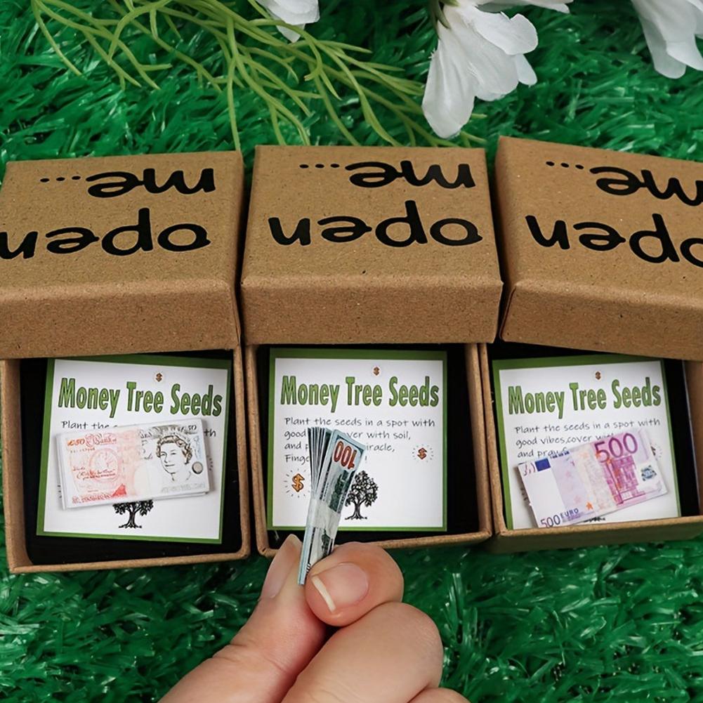 Long Distance Relationship Gift "Open Me" Money Tree Seeds Prank Gift Box For Birthday, Office Party, Christmas Valentines Gifts