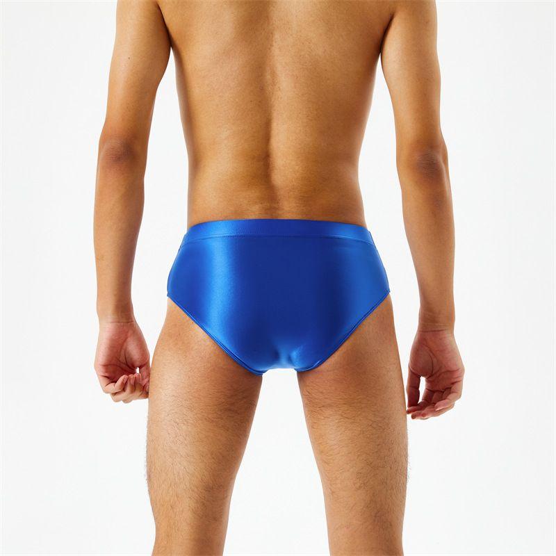 Shiny Silky Stretch Briefs