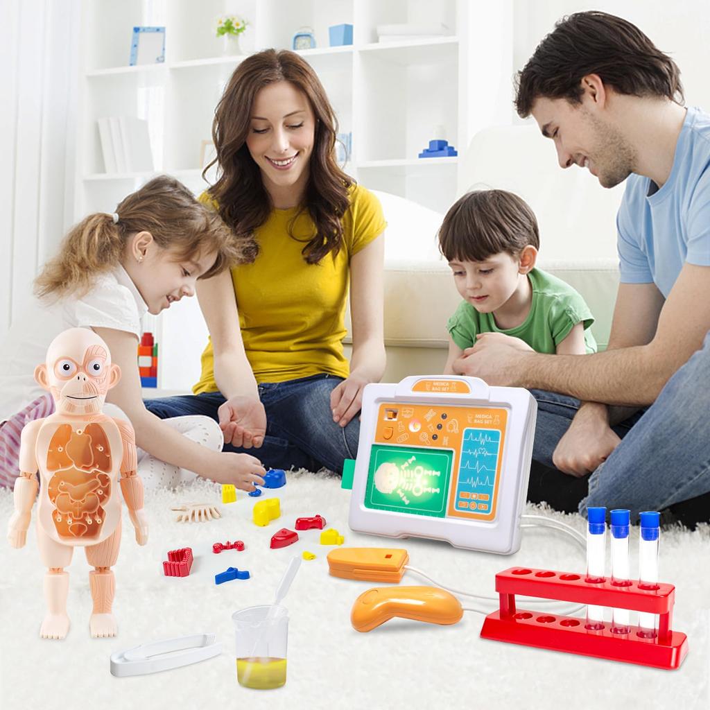 Human Anatomy Model Toy, Human Body Model Mannequin, 3D Human Anatomy Model, Organ Model, Human Internal Organ Model, Removable Organs, Anatomy Model