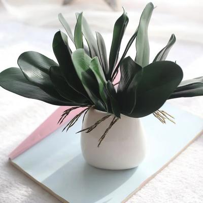 Artificial Phalaenopsis Leaves Home Decor Leaf of Butterfly Orchid Flowers Auxiliary Material Flower Decoration Orchid Leaves
