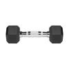 Cast Iron Rubber-Coated Dumbbells Hex 2X3Kg Rebel Hexagonal Set 6Kg Solid