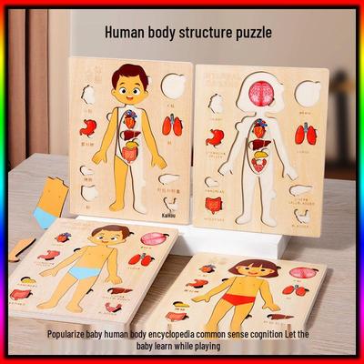 Holzpuzzle menschliche Anatomie für Babys und Kleinkinder - Lernspielzeug für Selbstwahrnehmung und naturwissenschaftliches Lernen