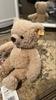 [USED] Steiff Teddy Bear Plush Toy