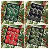 12Pcs Velvet Christmas Ball Ornaments Flocked Xmas Balls Shatterproof Plastic Balls Hanging Ornament for Xmas Wedding Party