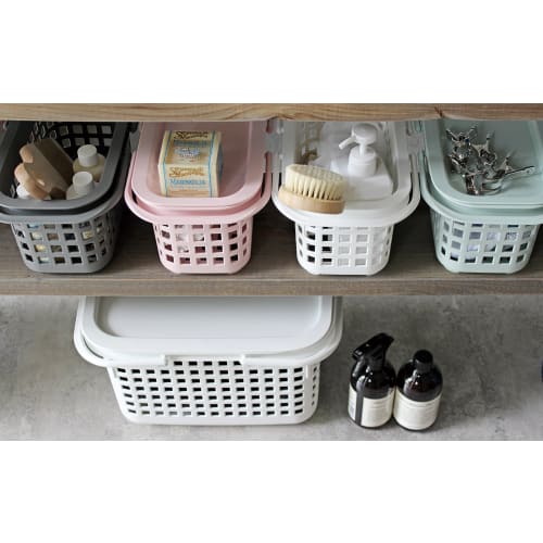 Hachimankasei Sceltevie Cestino Cavaccio RD S 238164