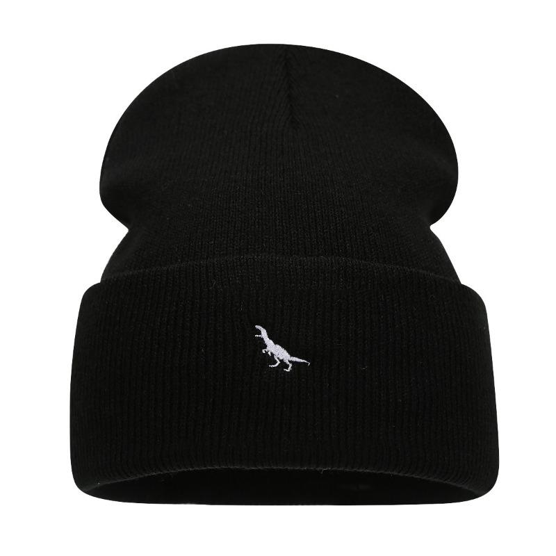 Hot Sale Little Dinosaur Embroidered Wool Hat Couple Autumn and Winter Outdoor Knitting Cold Hat Trendy Brand Stacking Hat