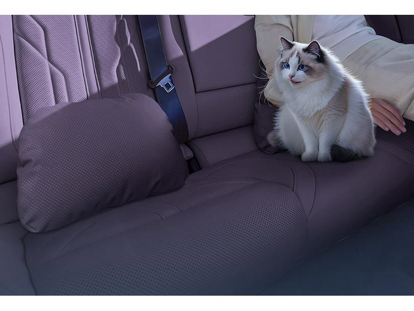 Essential Car Interior Accessories Set for Zero Run Lafa5: Headrest & Lumbar Support with Neck & Waist Protection