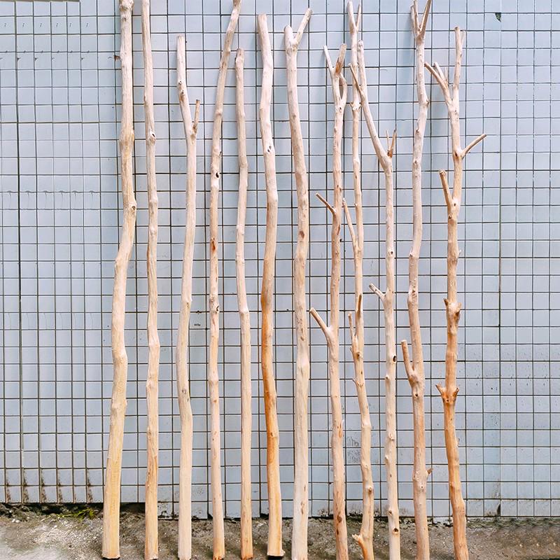 DIY Shaped Tree Decor: Dry Branches for Home & B&B, Living Room, Hotel, Kindergarten, Environmental Displays.