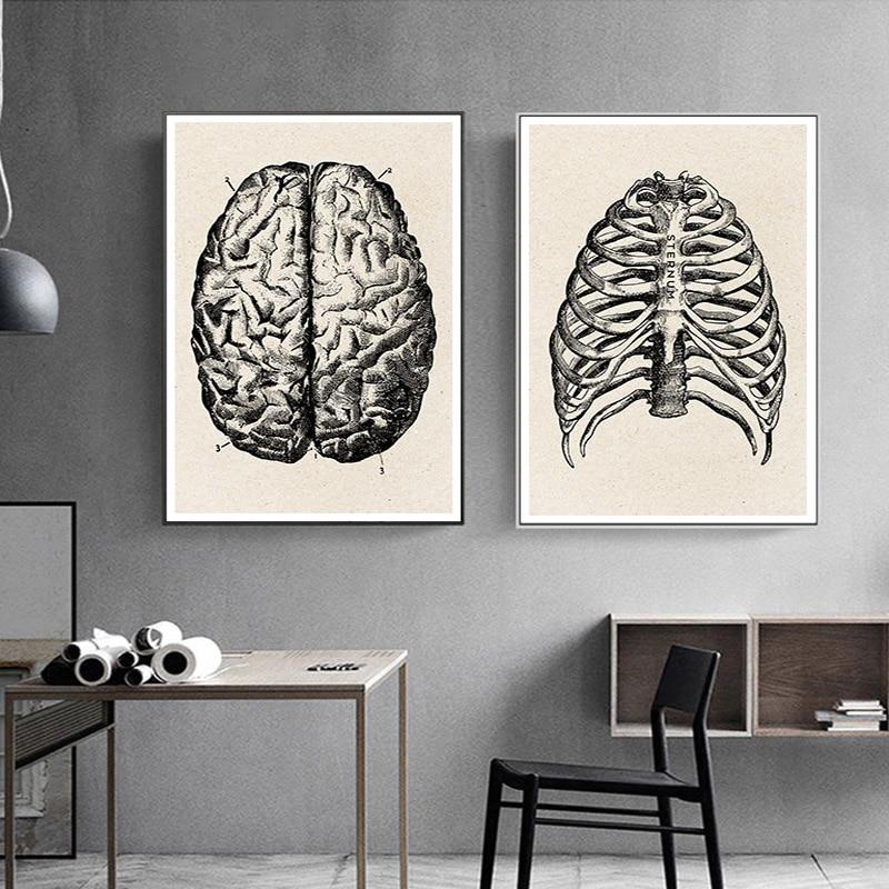 Digital Prints Vintage Canvas Medical Clinic Wall Picture Human Anatomy ...