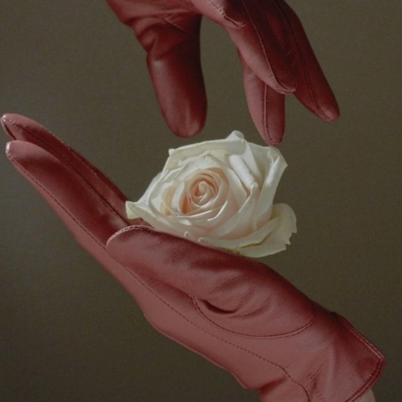 

Перчатки MUTEMUSE Matinee (Мелодрама) Small