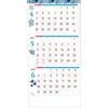 TODAN 2027 Wall Calendar 3-Month View Floral Memo with Reusable Date Marker Perforated Pages Made in Japan TD-30786