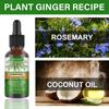 Rosemary Essential Oil Nourishes Repairs Improves Frizz Prevents Hair Loss Eliminates Itching Thinning Damaged Hair Care