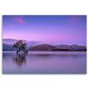 Canvas Print Landscape Tree Purple