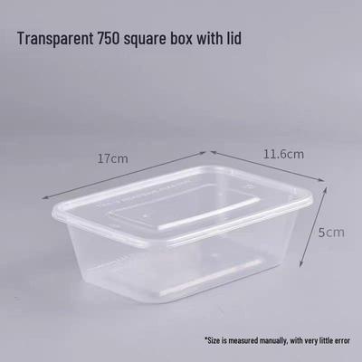 Disposable Rectangular Plastic Food Container