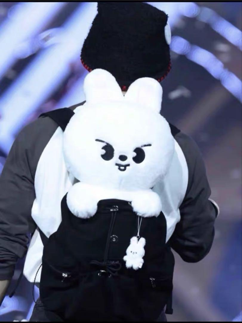 

[Б/У] StrayKids Рино Плюшевый мишка 5 часов Ливитт SKZOO