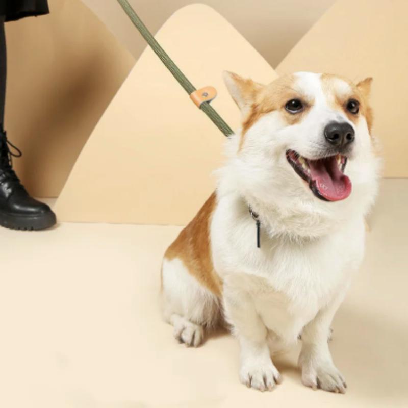 New Dog Leash Slip Rope Lead Leash Heavy Duty Braided Rope Adjustable Loop Collar Training Leashes For Small Medium Dogs
