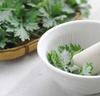 Fraijour Original Herb Wormwood Peeling Gel Gentle Exfoliating Smoothing 150ml Face Scrub Peeling Care