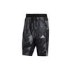 Sports Shorts Men's Light Gray Moderate GH5161