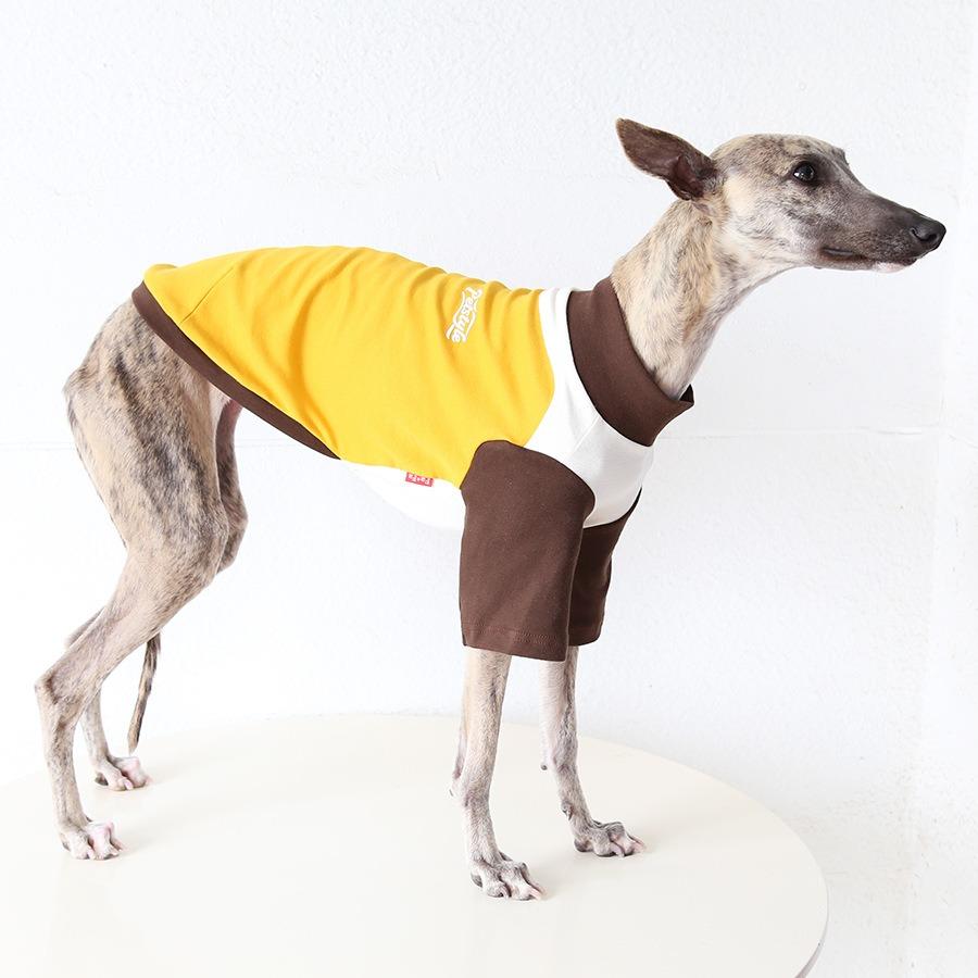 Italian Greyhound Hound Two-Legged Clothes 3colors Fashionable Multicolor Soft Comfortable Elastic Fashion Patchwork Dog Clothes